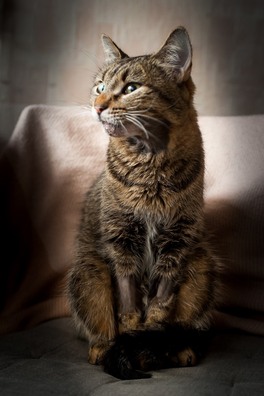 90464639_2762114020575048_1538604306452709376_n_logo.jpg 90464639_2762114020575048_1538604306452709376_n_logo.jpg