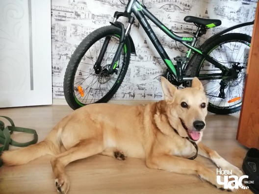 90595294_3009610679265446_1043972619692408832_n_logo.jpg 90595294_3009610679265446_1043972619692408832_n_logo.jpg