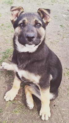 91070682_124621992475853_3474329999287255040_n_logo.jpg 91070682_124621992475853_3474329999287255040_n_logo.jpg