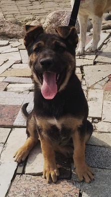 91164059_124622022475850_8980516650155507712_n_logo.jpg 91164059_124622022475850_8980516650155507712_n_logo.jpg