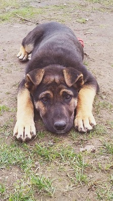 91175156_124621969142522_3936812794980073472_n_logo.jpg 91175156_124621969142522_3936812794980073472_n_logo.jpg