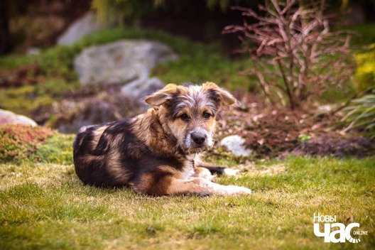 91849946_1503524073162041_5880230379104763904_n_logo.jpg 91849946_1503524073162041_5880230379104763904_n_logo.jpg