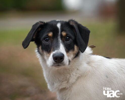 93237942_538134707139047_2872894789546672128_o_logo.jpg 93237942_538134707139047_2872894789546672128_o_logo.jpg