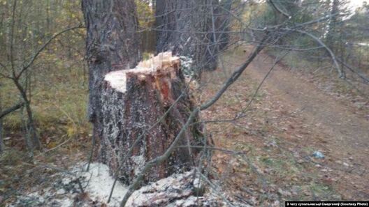 9339a9b3_1175_4eb3_a953_324d79362697_cx1_cy88_cw99_w1023_r1_s.jpg 9339a9b3_1175_4eb3_a953_324d79362697_cx1_cy88_cw99_w1023_r1_s.jpg