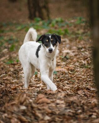 93629812_538135003805684_7339449293197017088_o_logo.jpg 93629812_538135003805684_7339449293197017088_o_logo.jpg