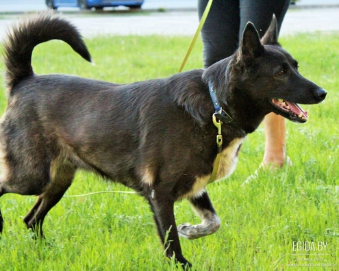 93781863.jpg 93781863.jpg