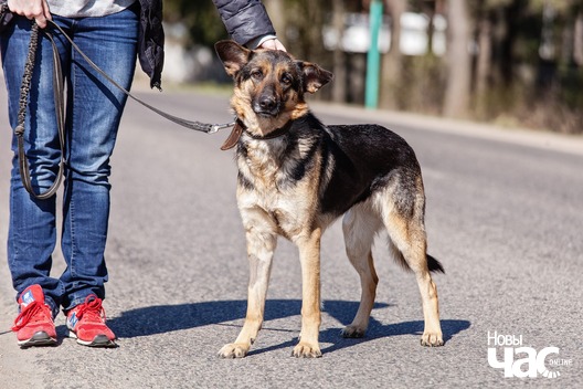 94726941_3119803588065776_750441154385805312_o_logo.jpg 94726941_3119803588065776_750441154385805312_o_logo.jpg