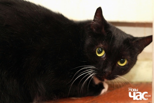 94999931_3773334036071601_6121180346512834560_o_logo.jpg 94999931_3773334036071601_6121180346512834560_o_logo.jpg