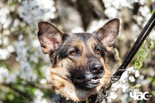 95087649_3119805284732273_3103536079530098688_o_logo.jpg 95087649_3119805284732273_3103536079530098688_o_logo.jpg