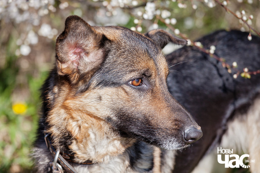 95091609_3119803518065783_7734058566092324864_o_logo.jpg 95091609_3119803518065783_7734058566092324864_o_logo.jpg