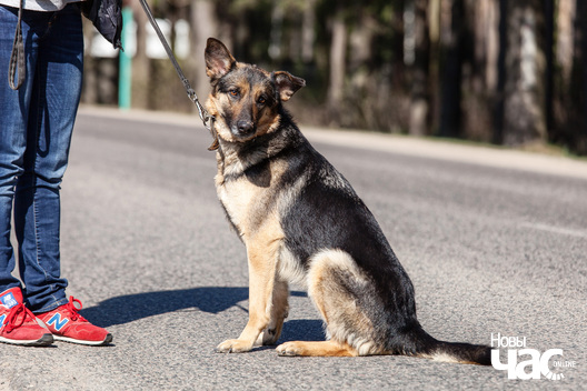 95092546_3119803974732404_3793721754740850688_o_logo.jpg 95092546_3119803974732404_3793721754740850688_o_logo.jpg