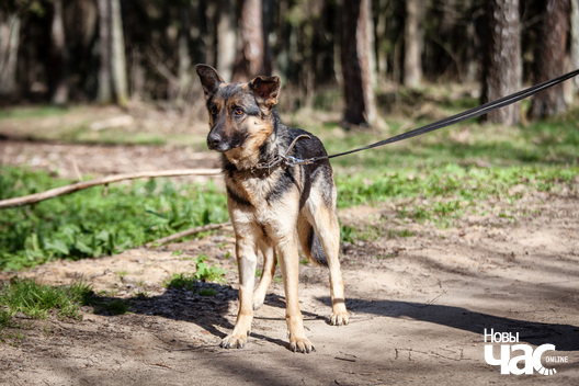 95096318_3119805184732283_7110792222269767680_o_logo.jpg 95096318_3119805184732283_7110792222269767680_o_logo.jpg