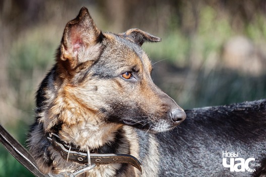 1/9 95144410_3119804698065665_3888248233964601344_o_logo.jpg