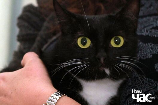 95275752_3773333886071616_457841821536485376_o_logo.jpg 95275752_3773333886071616_457841821536485376_o_logo.jpg