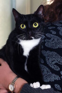 95343607_3773333839404954_7311262230287220736_o_logo.jpg 95343607_3773333839404954_7311262230287220736_o_logo.jpg