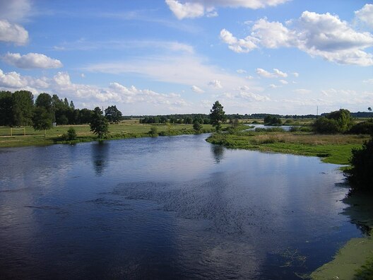 Рака Лясная. Фота Szeder László, commons.wikimedia.org Рака Лясная. Фота Szeder László, commons.wikimedia.org