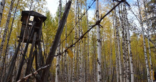Казахстан. Адрадзіць высылку