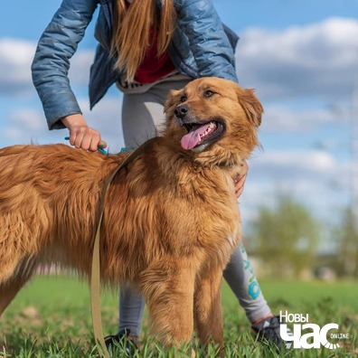 97959998_781247058946617_1409982727565869056_n_logo.jpg 97959998_781247058946617_1409982727565869056_n_logo.jpg