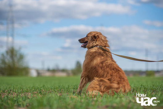 97966062_781247225613267_4658611598447869952_n_logo.jpg 97966062_781247225613267_4658611598447869952_n_logo.jpg