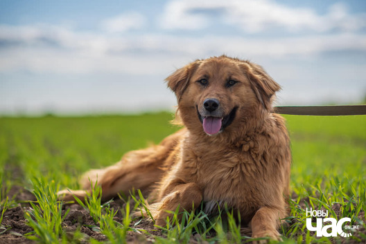 98191272_781247192279937_4468073732367187968_n_logo.jpg 98191272_781247192279937_4468073732367187968_n_logo.jpg