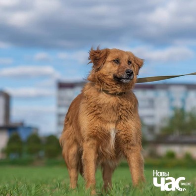 98944784_781247075613282_3864845622888628224_n_logo.jpg 98944784_781247075613282_3864845622888628224_n_logo.jpg