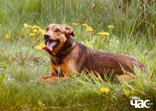 98999667_3105825899478762_7190041708980076544_n_logo.jpg 98999667_3105825899478762_7190041708980076544_n_logo.jpg