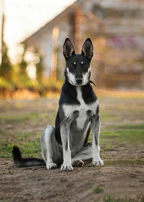 9pu707taahm_logo.jpg 9pu707taahm_logo.jpg