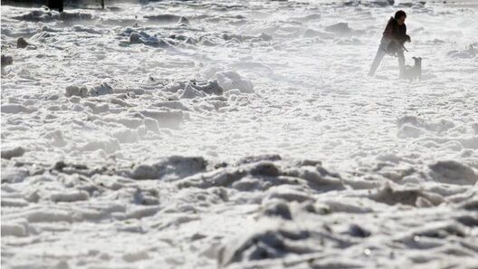 4/4 _107651934_470e832f_1c58_4314_b38b_a84e6e5ebb4b.jpg