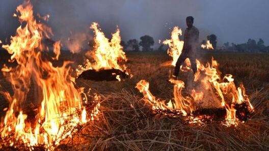 GETTY IMAGES GETTY IMAGES