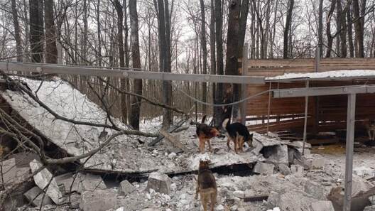 _5276447497746758437_121.jpg _5276447497746758437_121.jpg