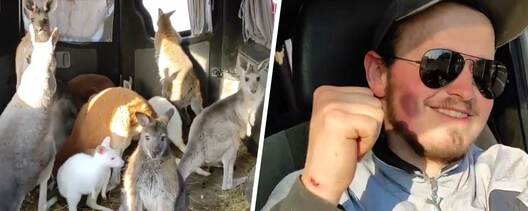 _5330060711214299339_121.jpg _5330060711214299339_121.jpg