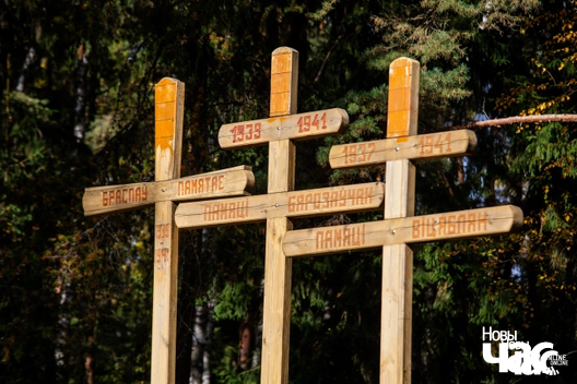 Крыжы ў Курапатах Крыжы ў Курапатах