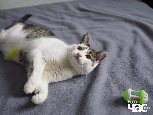 4/7 _b132627_logo.jpg