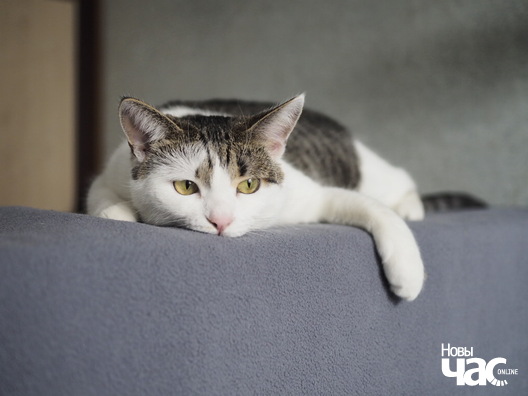 _b132647_logo.jpg _b132647_logo.jpg