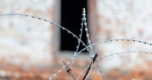 Рэпрэсіі ў Беларусі: Галоўнае за 24 жніўня