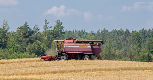 Чыноўнікі жадаюць жыць у «Беларусі з тэлевізара»