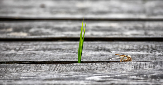 Заходнія краіны "будуюць масты" з Беларуссю