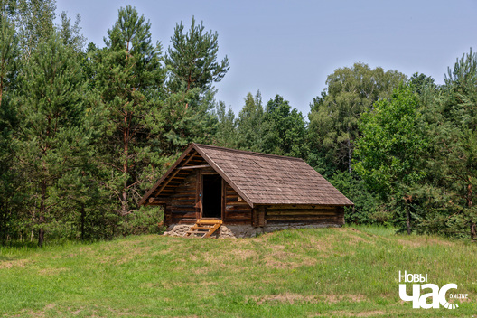 6/6 _belarus_albuc_sjadziba_2023_fota_novy_czas__4__logo.jpg