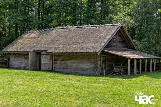 5/6 _belarus_albuc_sjadziba_2023_fota_novy_czas__5__logo.jpg