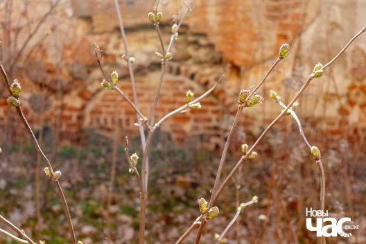 2/5 _belarus_aszmjany_kascjol_panny_maryi_final_2024_fota_novy_czas__2__logo.jpg