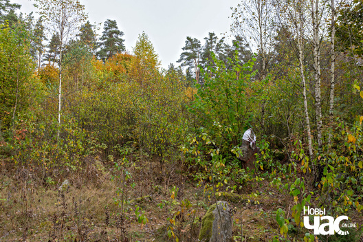 2/7 _belarus_babcy_kryzy_2025_fota_novy_czas__1_.jpg