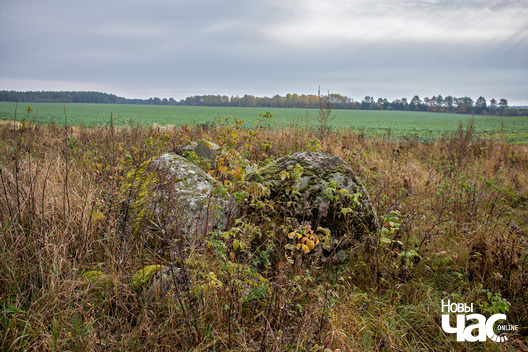 4/4 _belarus_babcy_valuny_2025_fota_novy_czas__4_.jpg
