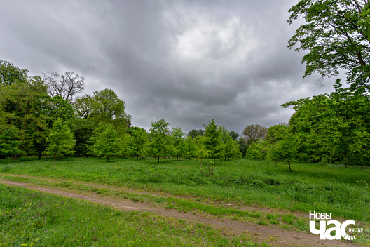 3/3 _belarus_fler_janava_sjadziba_azeszka_dub_2024_fota_novy_czas__3_.jpg