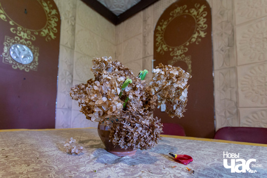 2/7 _belarus_fler_janava_sjadzibny_dom_bohvicy_2024_fota_novy_czas__2_.jpg