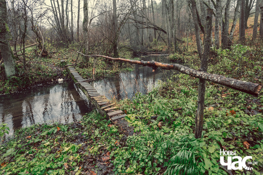 5/10 _belarus_herduciszki_vadzjany_mlyn_2023_fota_novy_czas__5__logo.jpg