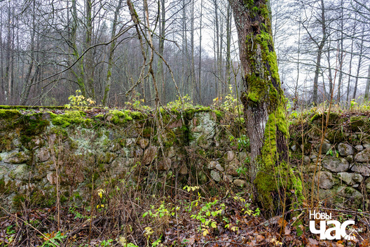 8/10 _belarus_herduciszki_vadzjany_mlyn_2023_fota_novy_czas__8__logo.jpg