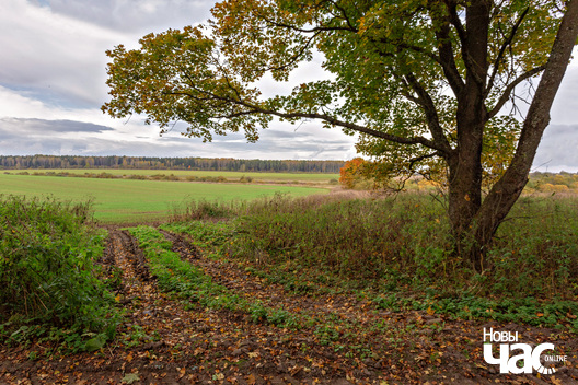 3/8 _belarus_hnjazdzilava_brama_krajavidy_20285__fota_novy_czas__2_.jpg