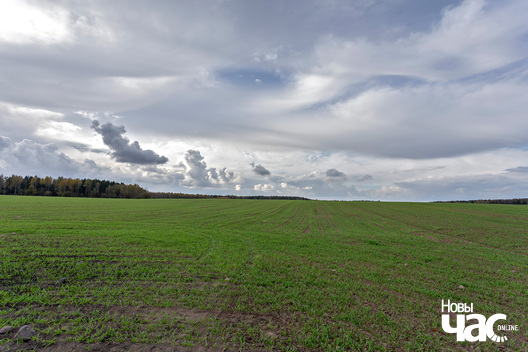 6/8 _belarus_hnjazdzilava_brama_krajavidy_20285__fota_novy_czas__5_.jpg