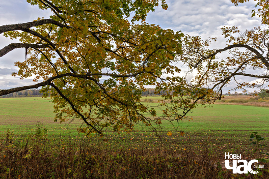 7/8 _belarus_hnjazdzilava_brama_krajavidy_20285__fota_novy_czas__6_.jpg