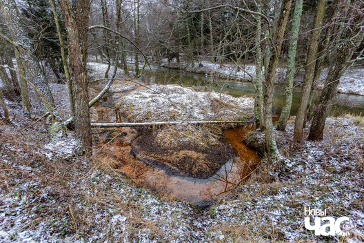 3/6 _belarus_islacz_paroh_pryroda_zima_les_2025_fota_novy_czas__3_.jpg